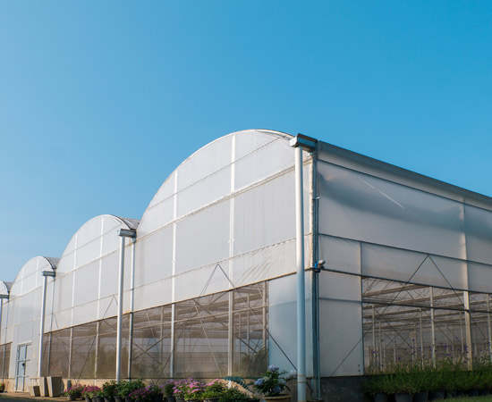 UV Open Film Plastic Greenhouse